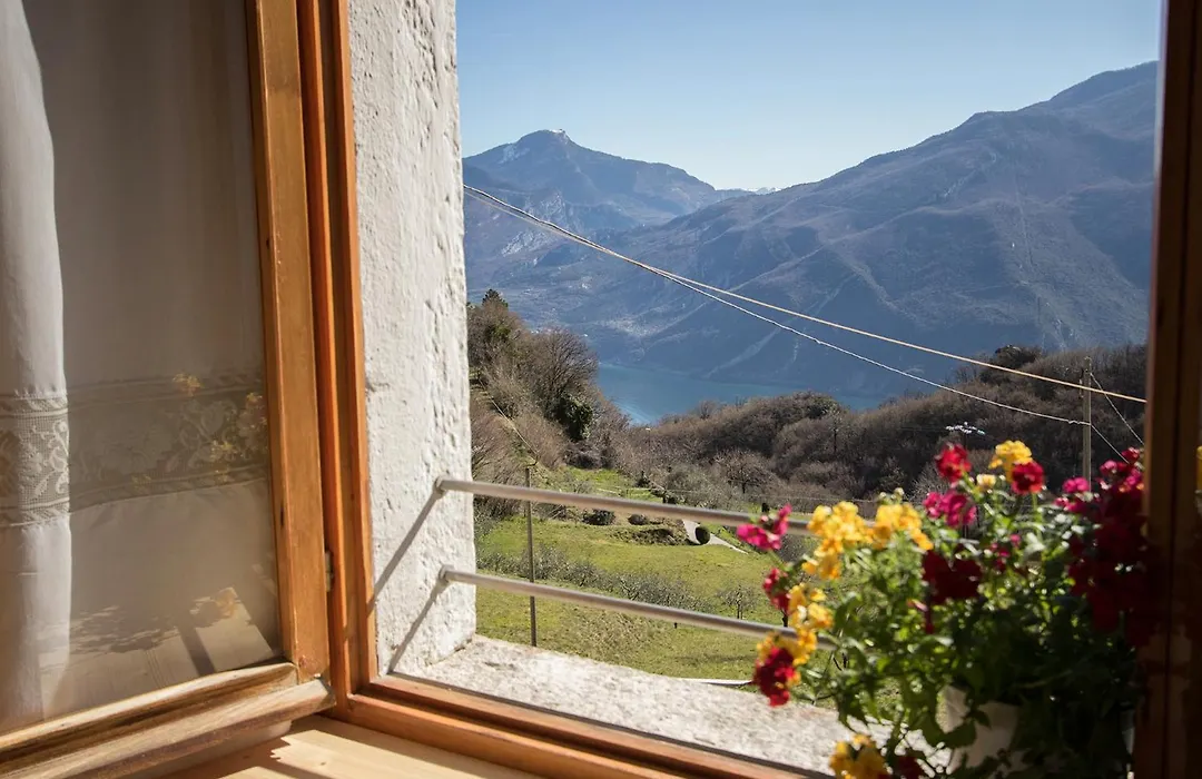 B&B Pregasina-1